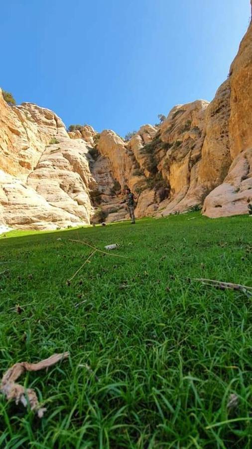 מלון Dana Sunset Eco Camp מראה חיצוני תמונה